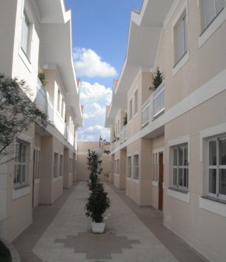 DSCF0542